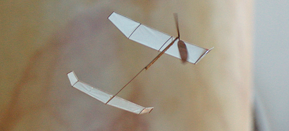 images/8642973247_58a1f4a659_b.png